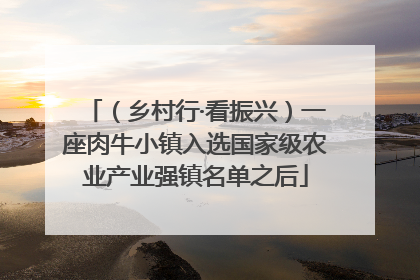（乡村行·看振兴）一座肉牛小镇入选国家级农业产业强镇名单之后
