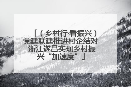 （乡村行·看振兴）党建联建推进村企结对 浙江遂昌实现乡村振兴“加速度”
