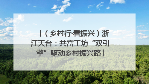 （乡村行·看振兴）浙江天台：共富工坊“双引擎”驱动乡村振兴路