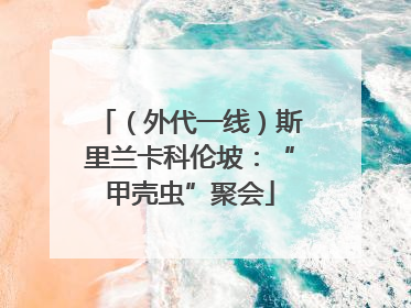 （外代一线）斯里兰卡科伦坡：“甲壳虫”聚会