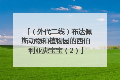 （外代二线）布达佩斯动物和植物园的西伯利亚虎宝宝（2）