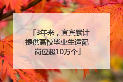 3年来，宜宾累计提供高校毕业生适配岗位超10万个