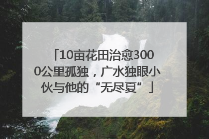 10亩花田治愈3000公里孤独，广水独眼小伙与他的“无尽夏”