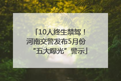 10人终生禁驾！河南交警发布5月份“五大曝光”警示