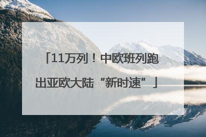 11万列！中欧班列跑出亚欧大陆“新时速”
