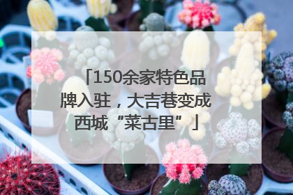 150余家特色品牌入驻，大吉巷变成西城“菜古里”