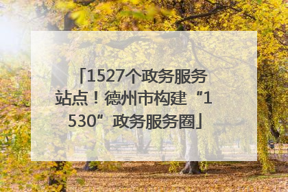 1527个政务服务站点！德州市构建“1530”政务服务圈