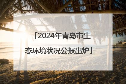 2024年青岛市生态环境状况公报出炉