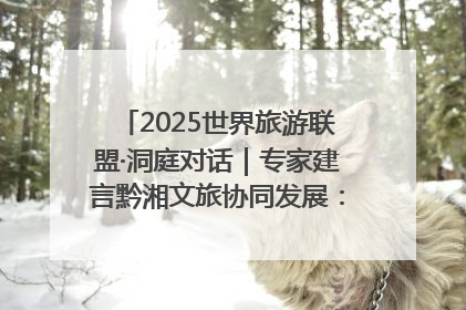 2025世界旅游联盟·洞庭对话｜专家建言黔湘文旅协同发展：聚焦产品稀缺性 深化区域经验共享