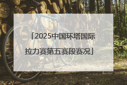 2025中国环塔国际拉力赛第五赛段赛况
