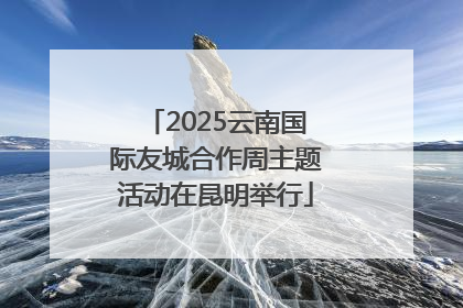 2025云南国际友城合作周主题活动在昆明举行