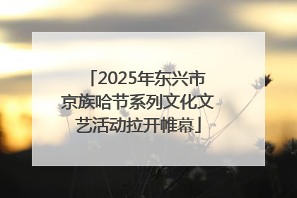 2025年东兴市京族哈节系列文化文艺活动拉开帷幕