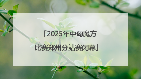 2025年中匈魔方比赛郑州分站赛闭幕