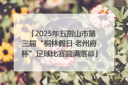 2025年五指山市第三届“桐林假日·老州府杯”足球比赛圆满落幕