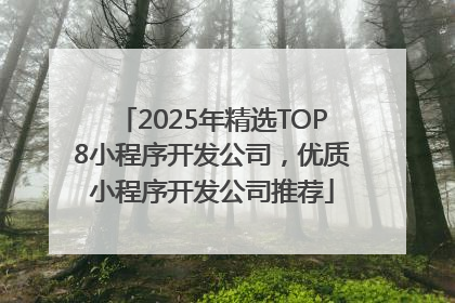 2025年精选TOP8小程序开发公司，优质小程序开发公司推荐