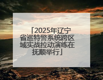 2025年辽宁省巡特警系统跨区域实战拉动演练在抚顺举行