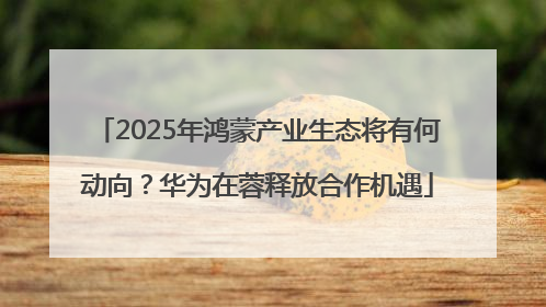 2025年鸿蒙产业生态将有何动向？华为在蓉释放合作机遇