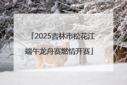 2025吉林市松花江端午龙舟赛燃情开赛
