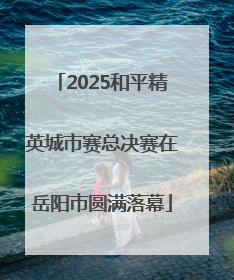 2025和平精英城市赛总决赛在岳阳市圆满落幕