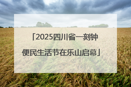 2025四川省一刻钟便民生活节在乐山启幕