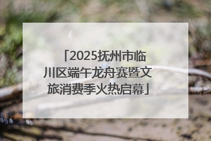 2025抚州市临川区端午龙舟赛暨文旅消费季火热启幕