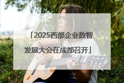 2025西部企业数智发展大会在成都召开