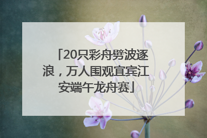 20只彩舟劈波逐浪，万人围观宜宾江安端午龙舟赛