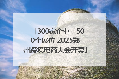 300家企业，500个展位 2025郑州跨境电商大会开幕