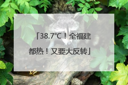38.7℃！全福建都热！又要大反转