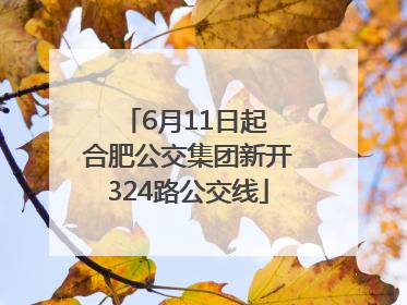 6月11日起 合肥公交集团新开324路公交线