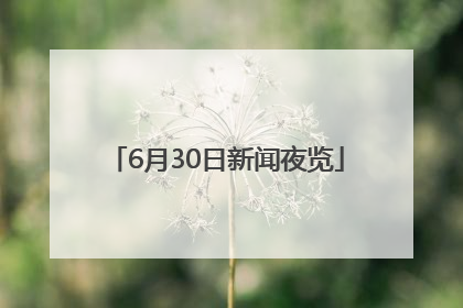 6月30日新闻夜览