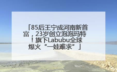 85后王宁成河南新首富，23岁创立泡泡玛特！旗下Labubu全球爆火“一娃难求”