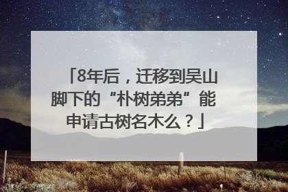 8年后，迁移到吴山脚下的“朴树弟弟”能申请古树名木么？