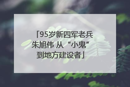 95岁新四军老兵朱旭伟 从“小鬼”到地方建设者