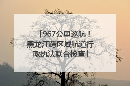967公里巡航！黑龙江跨区域航道行政执法联合检查