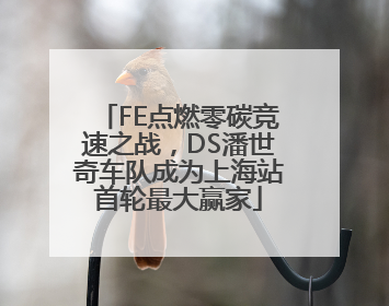 FE点燃零碳竞速之战，DS潘世奇车队成为上海站首轮最大赢家