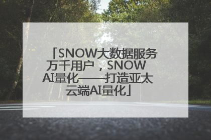 SNOW大数据服务万千用户，SNOW AI量化——打造亚太云端AI量化